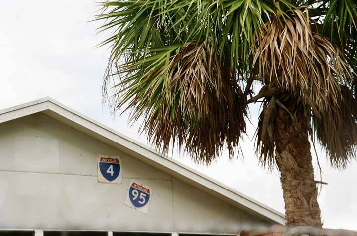 a roofline with two signs for Interstate 4 and 95, framed next to a palm tree