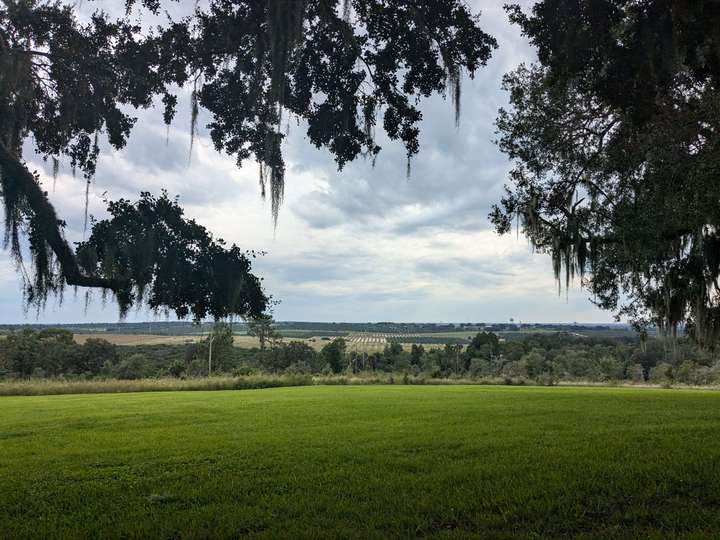 A view of farms from the top of a hill, framed by mossy trees