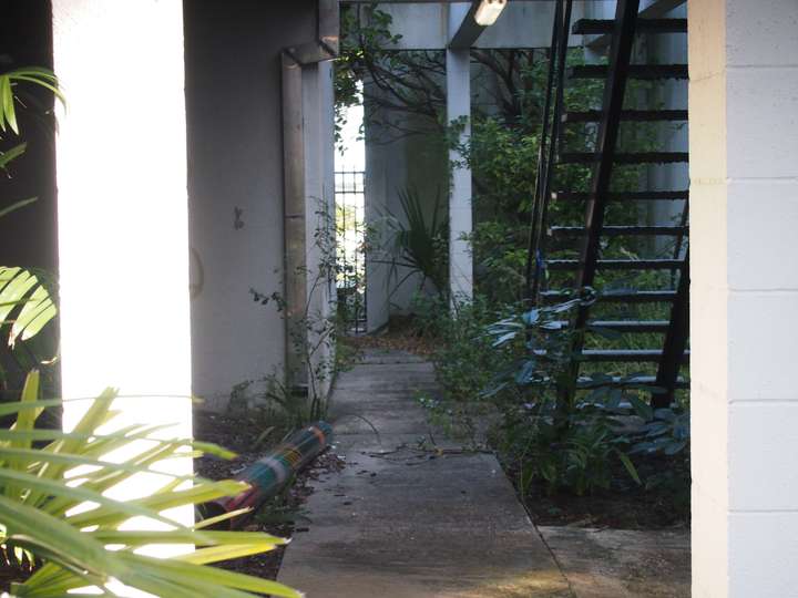 A zoomed in shot of a small courtyard path slowly overgrown with plants