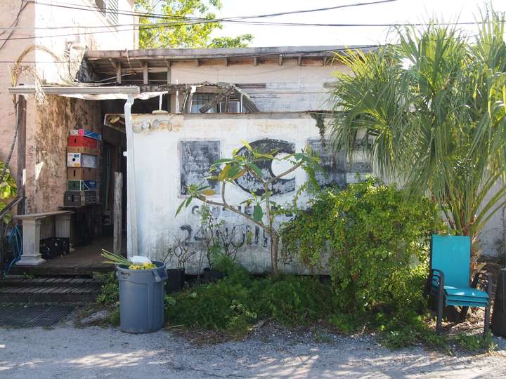 An overgrown outdoor ice freezer